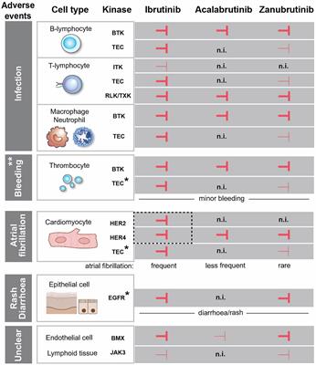 Frontiers | Comparative Analysis Of BTK Inhibitors And Mechanisms ...